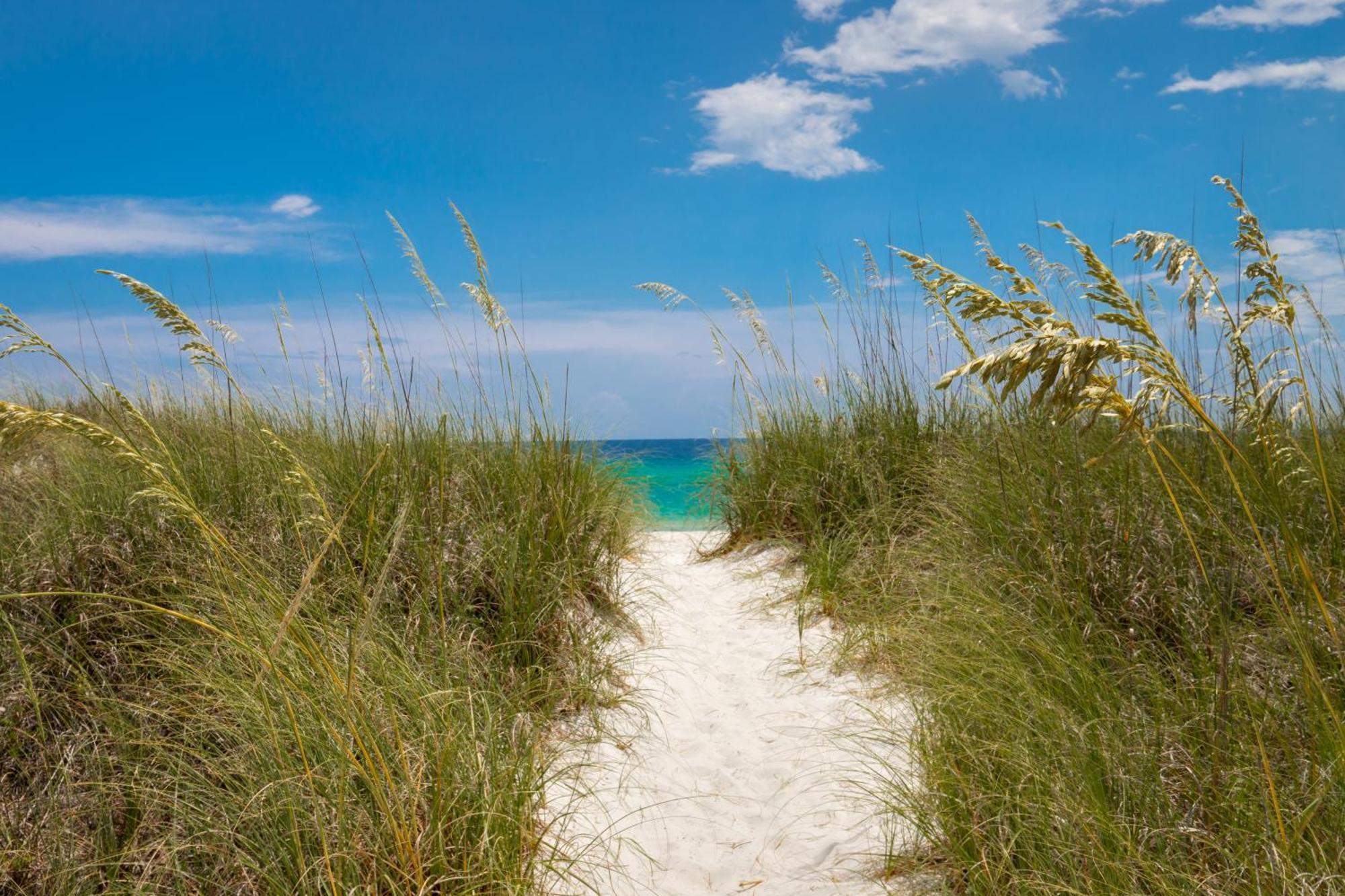 Remarkably Updated 3/2 In Seagrove Highlands - Gulf Views Sleeps 9! Санта-Роза-Біч Екстер'єр фото